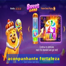 aconpanhante fortaleza